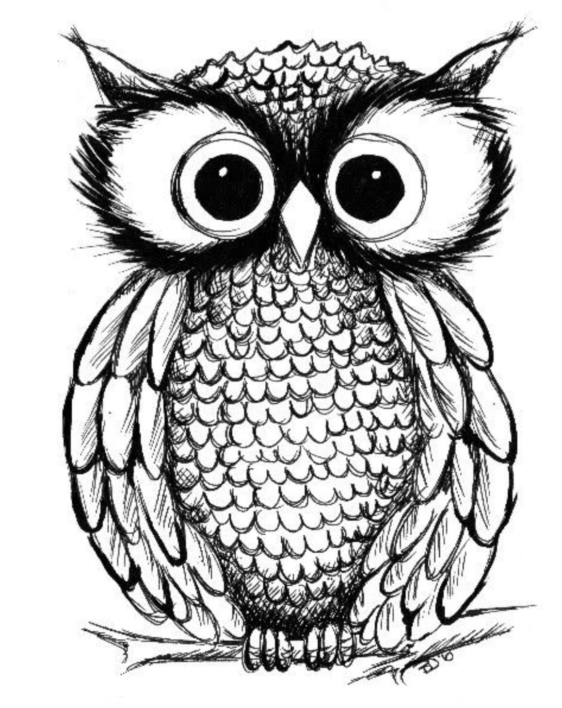 Сова рисунок