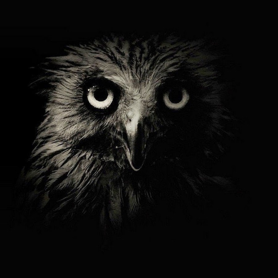 Глаза Совы в темноте