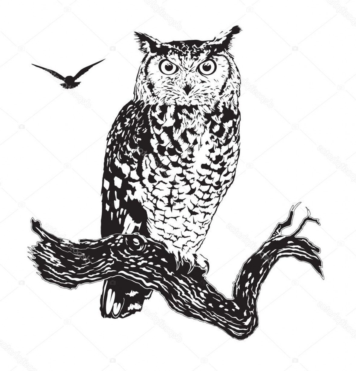 Сова гравировка эскиз