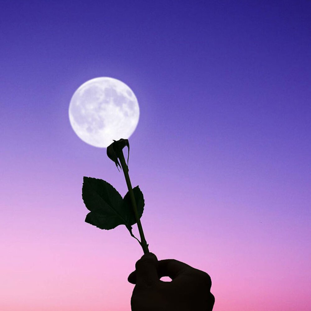 Шар Луны под звездным абажуром