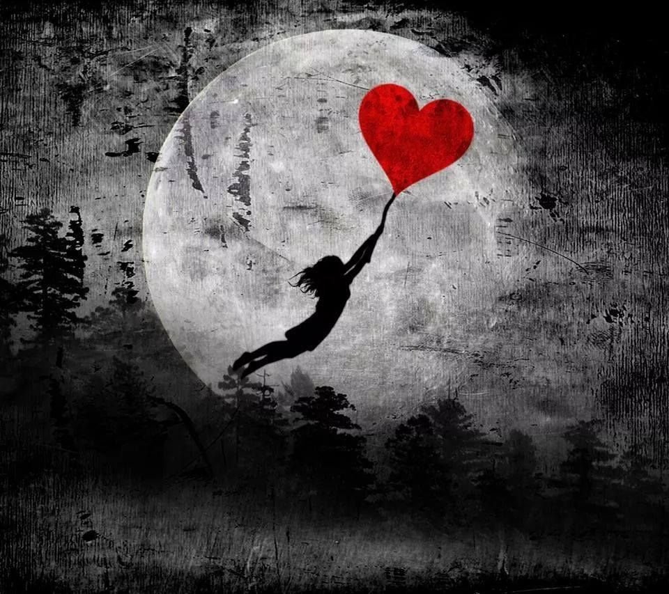 Ночь Луна цветы