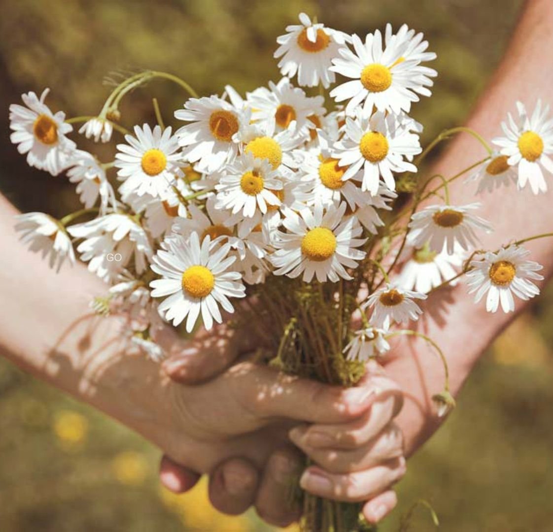 Девочка в ромашках