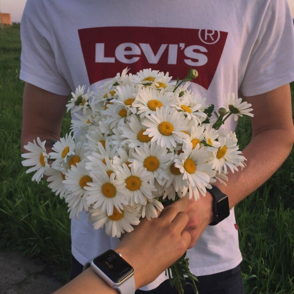 Парень дарит ромашки девушке