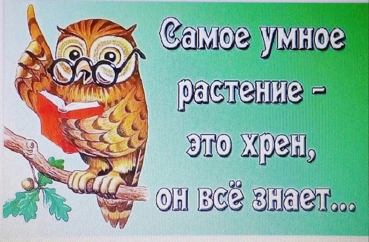Мудрые шутки