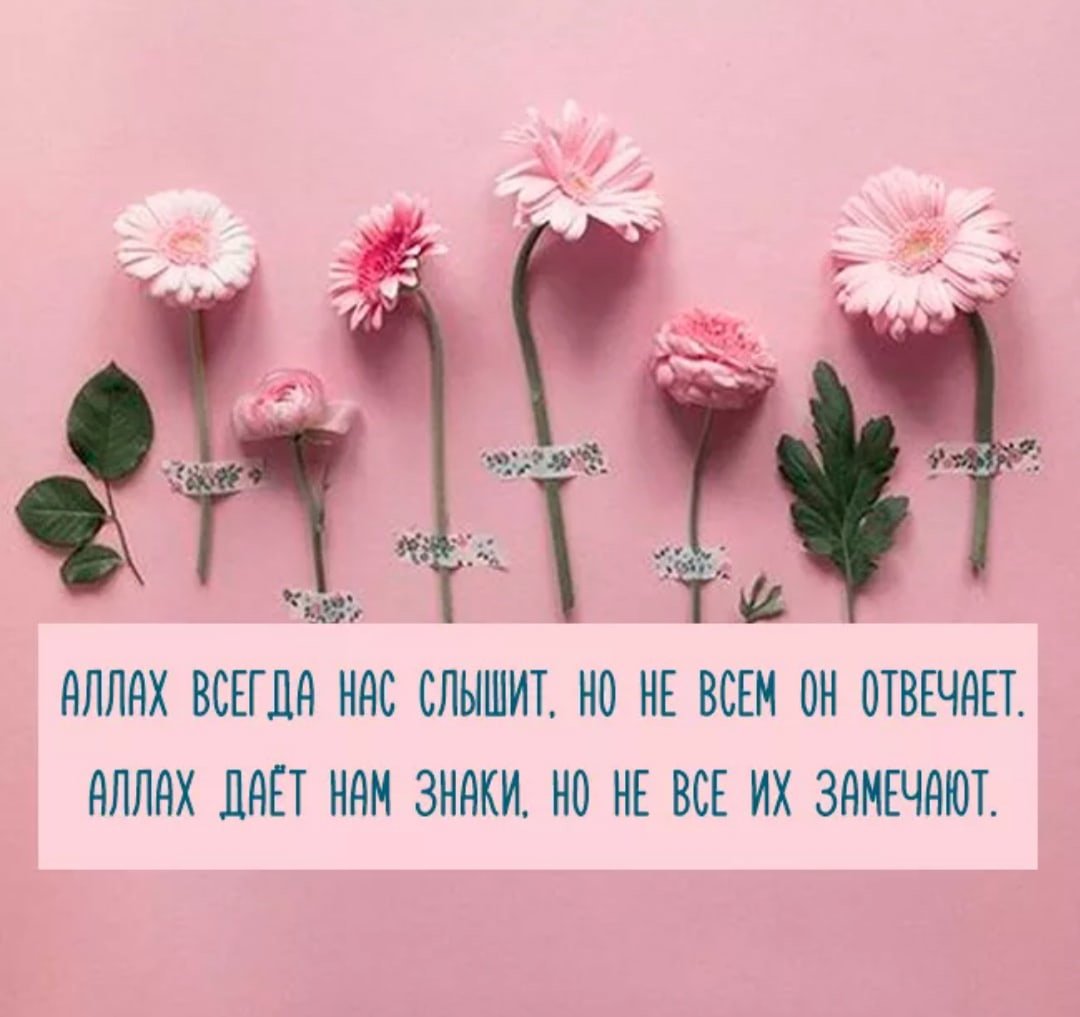 Красивые исламские статусы со смыслом