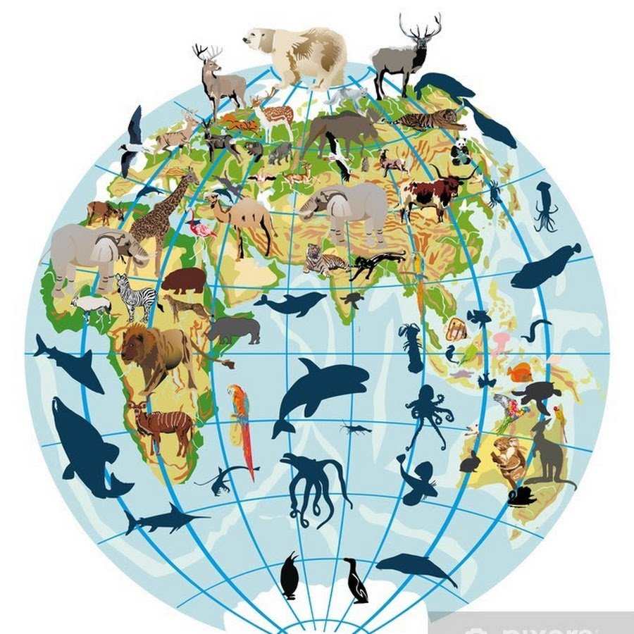 Биосфера оболочка земли