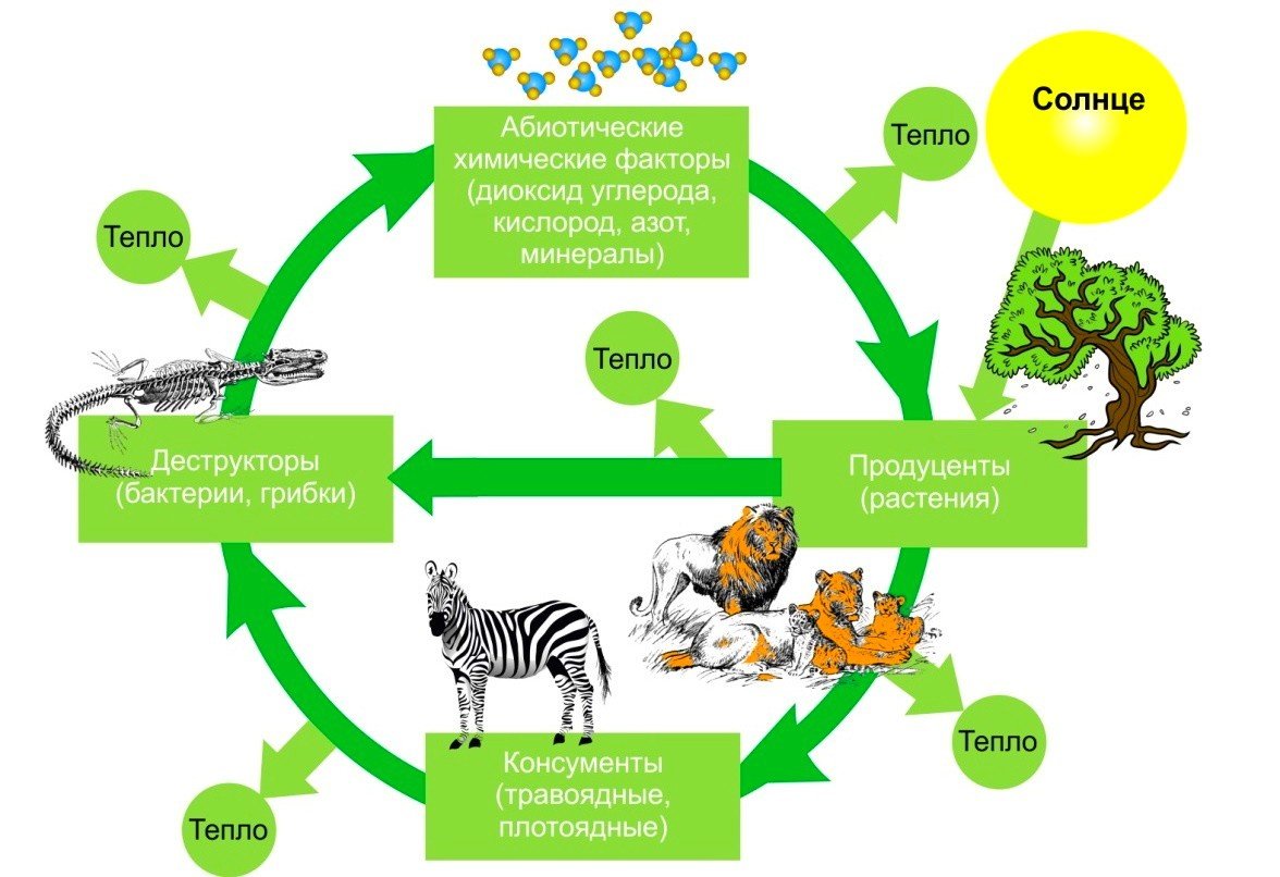 Зеленая экономика