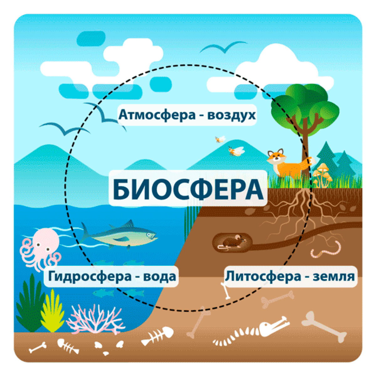 День биологического разнообразия
