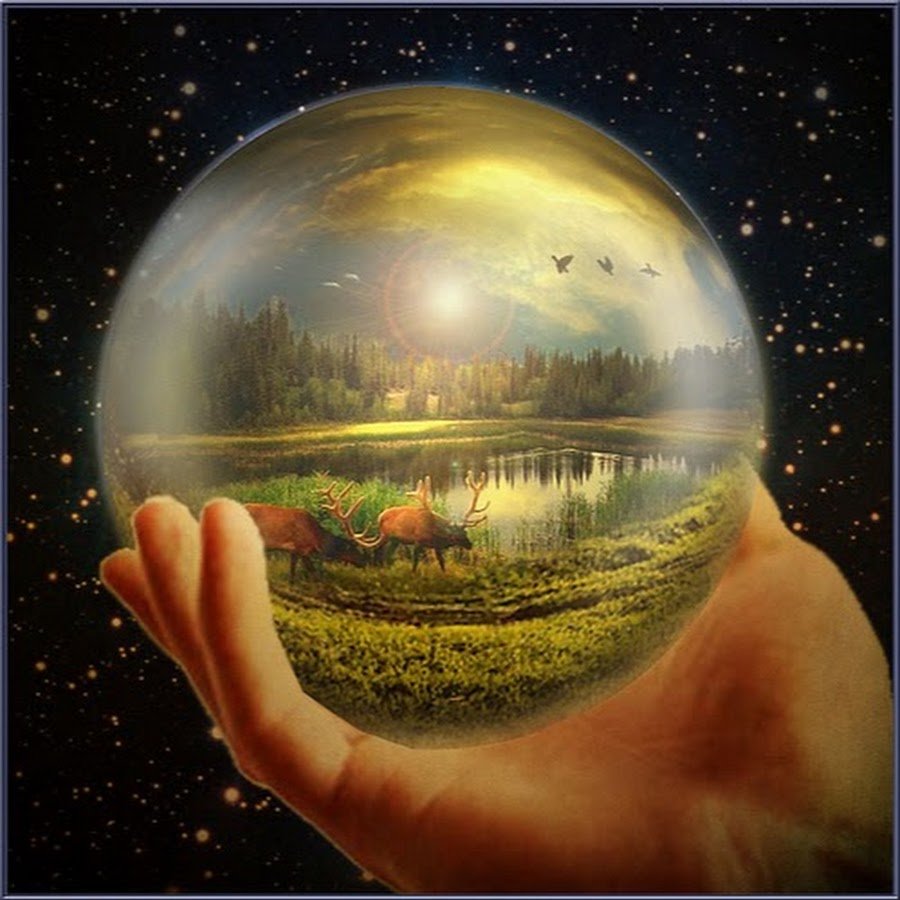 Структура и границы биосферы схема