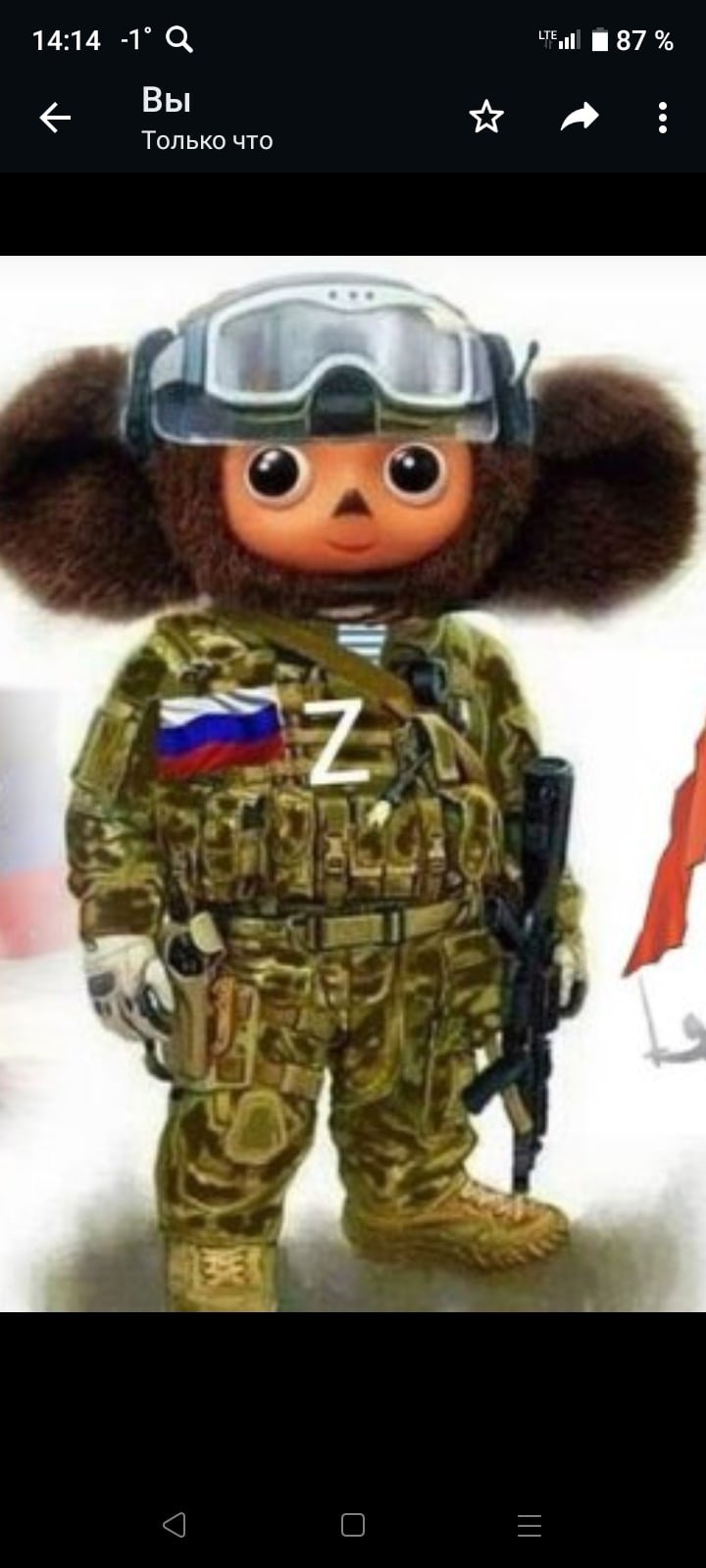 Чебурашка в камуфляже