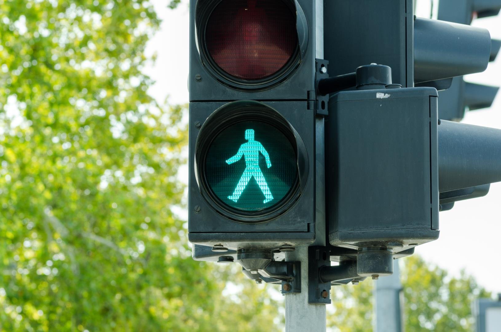 Светофоры всегда зеленые. Светофор пешеходный светодиодный ссд200п (п1.1). Светофор trafficlight-led 230в. Зеленый светофор. Светофор зеленый человечек.