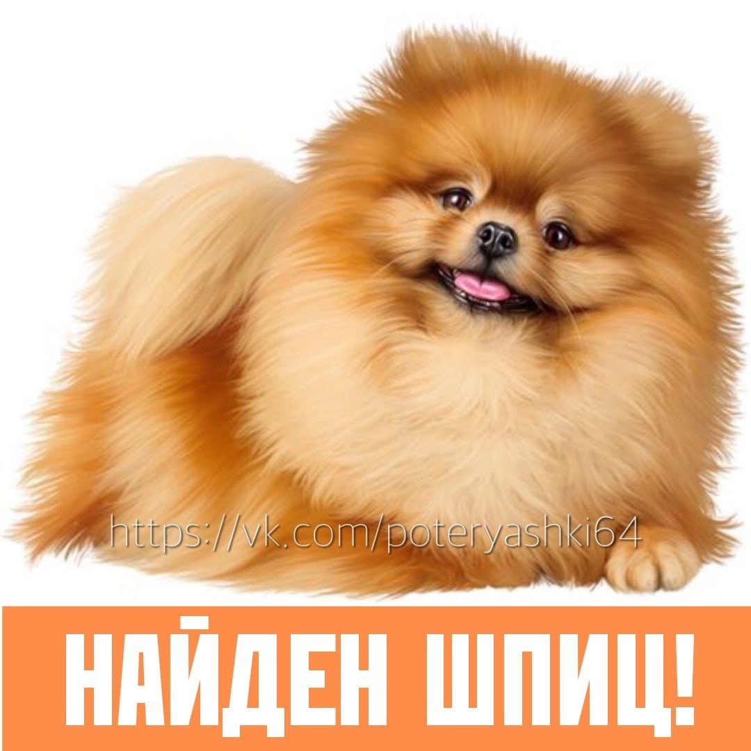 Я счастье я буду жить у тебя