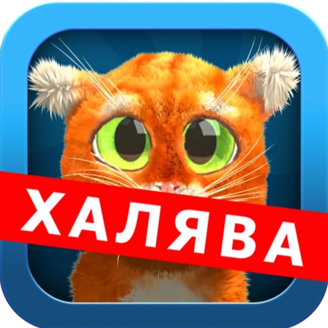 Раздача халявы