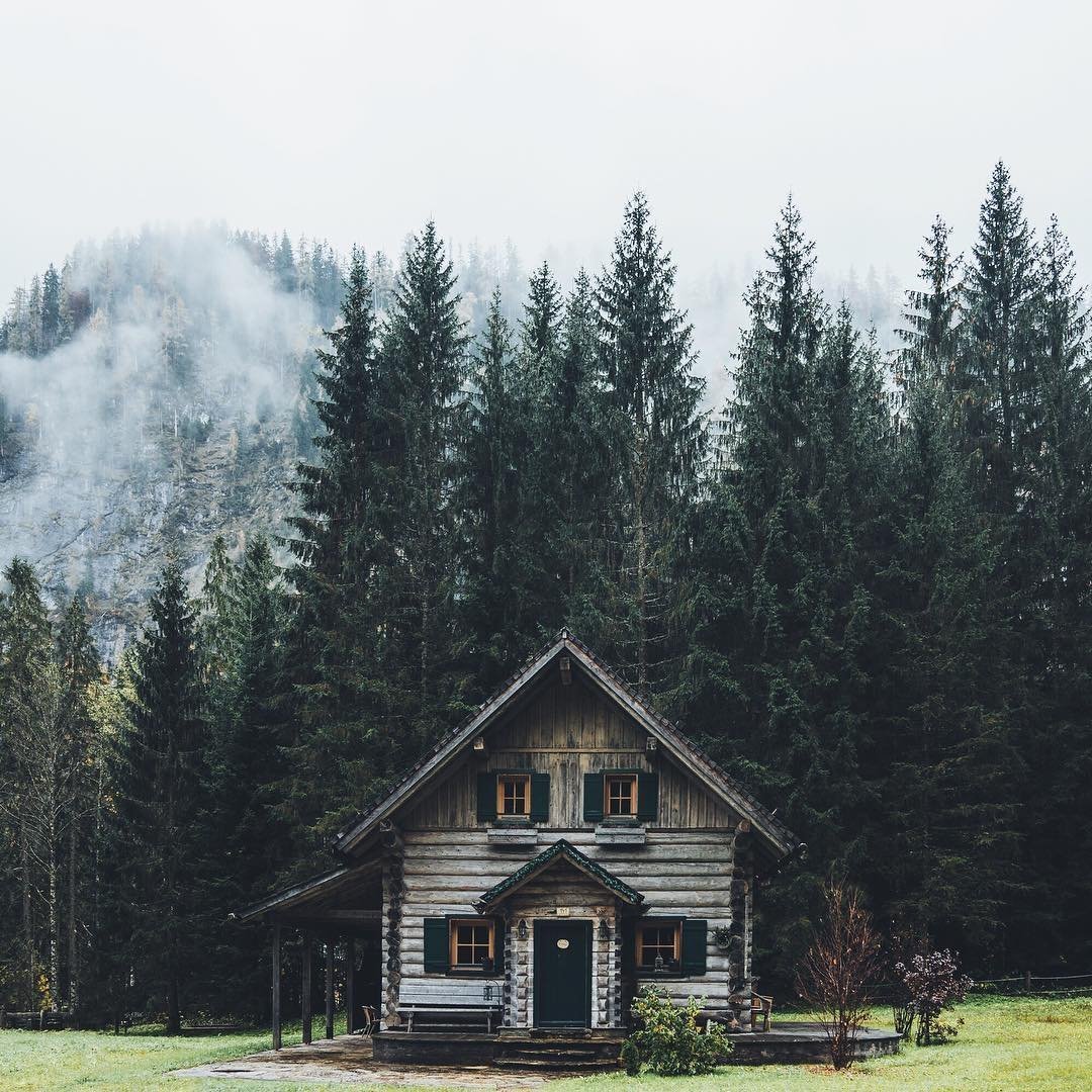 Дом в лесу
