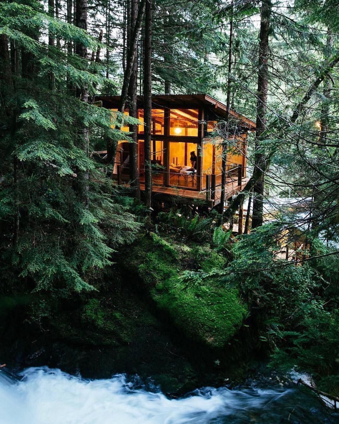 Дом на дереве (Британская Колумбия, Канада)