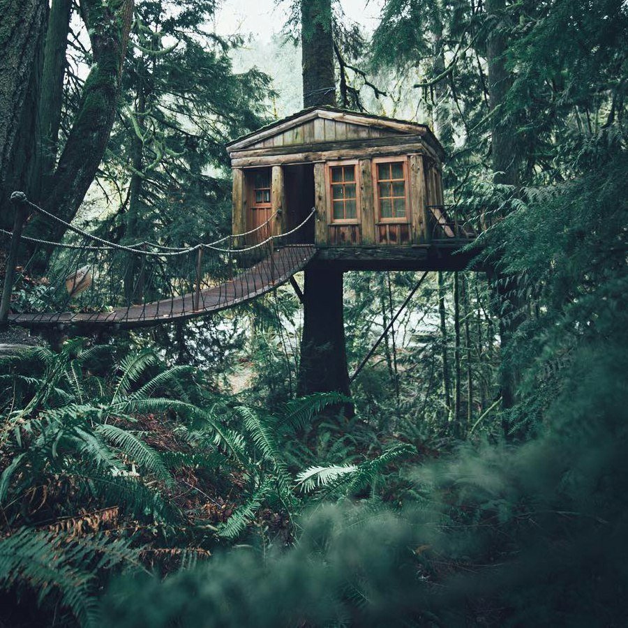 Hobbit Treehouse, США