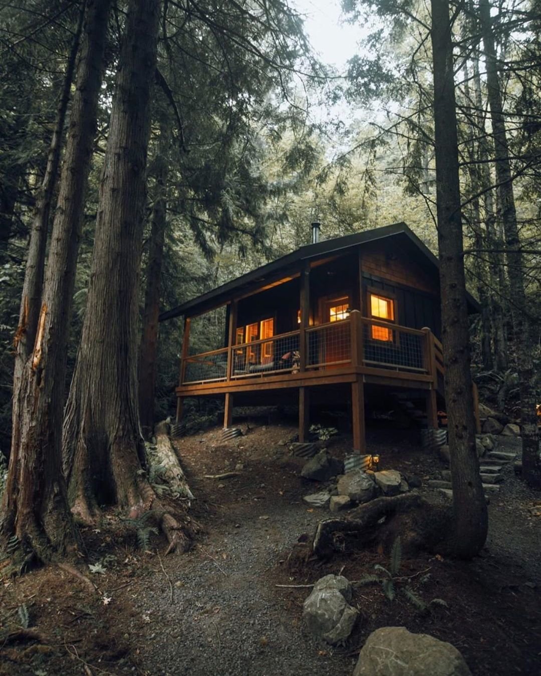 In the Cabin Woods Хижина в лесу Cabin