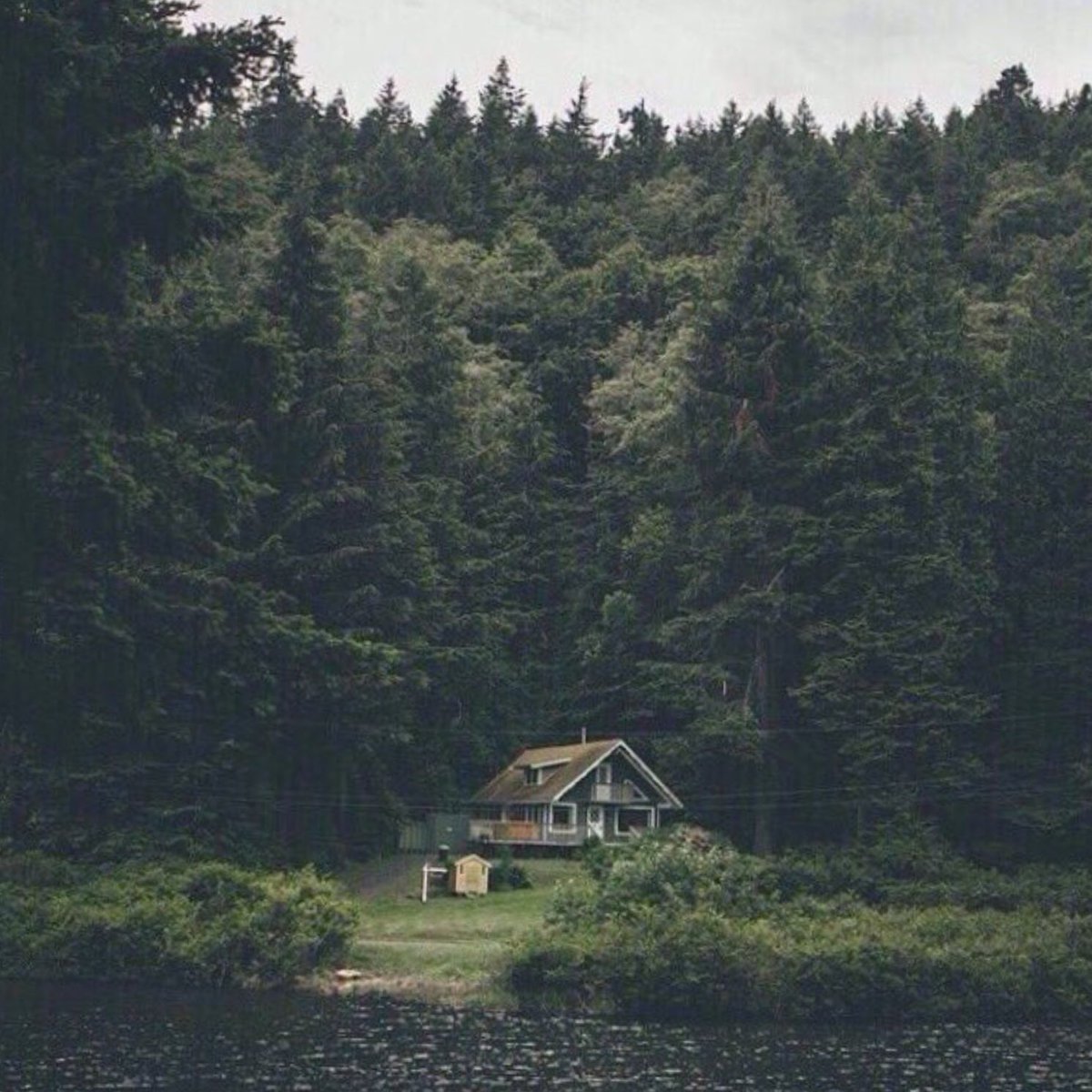 Одинокий дом в лесу