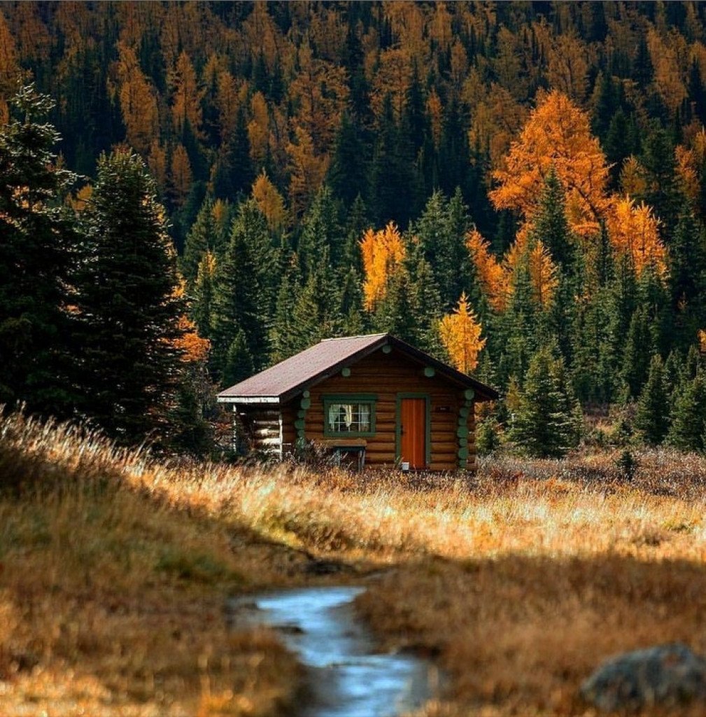 Избушка в лесу