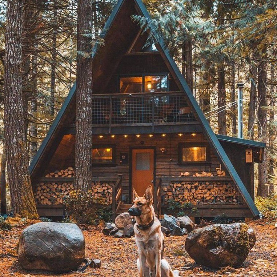 Домик в лесу