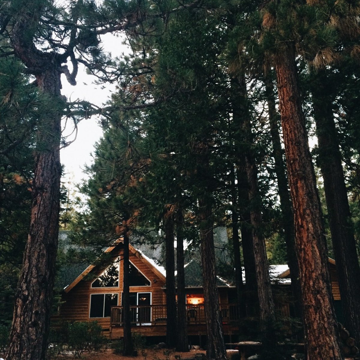 Особняк в Сосновом Бору в стиле Райта