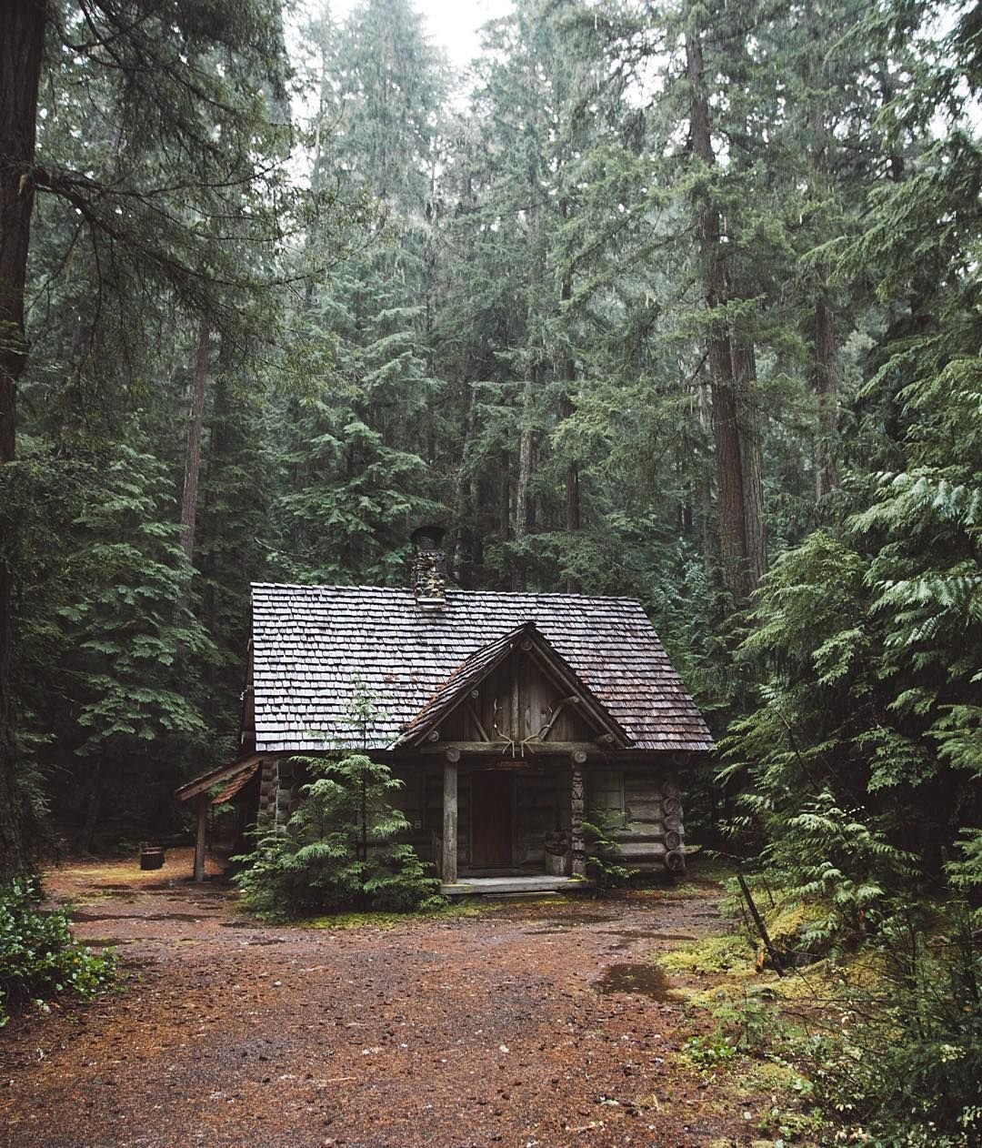 Ведьминская Хижина в лесу