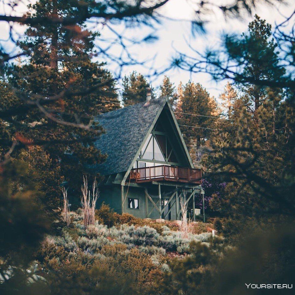 Уютный домик в лесу