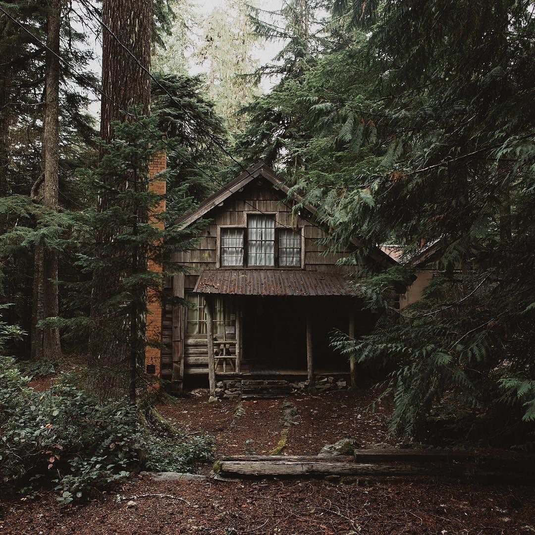 Атмосферные домик в лесу