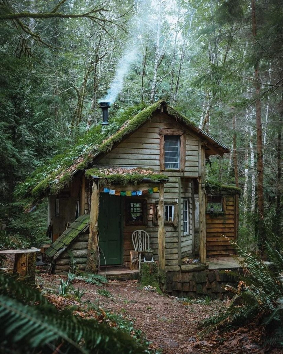 Forest House Хижина в лесу