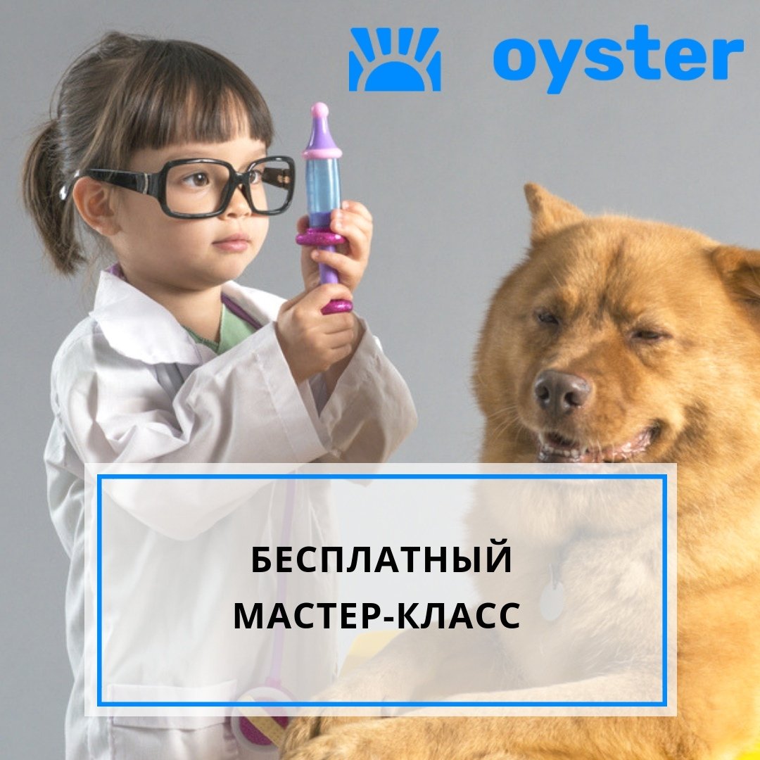 Ветеринар стилизация