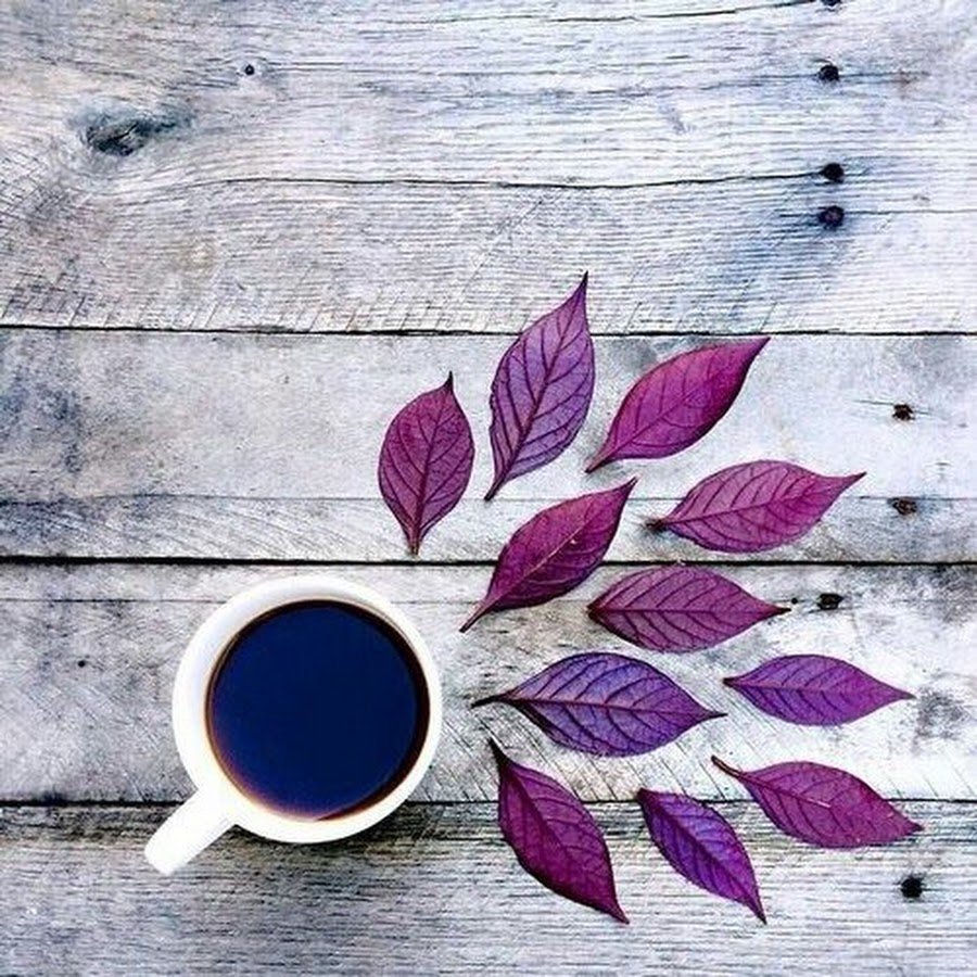 Фиолетовые кружки для инстаграма