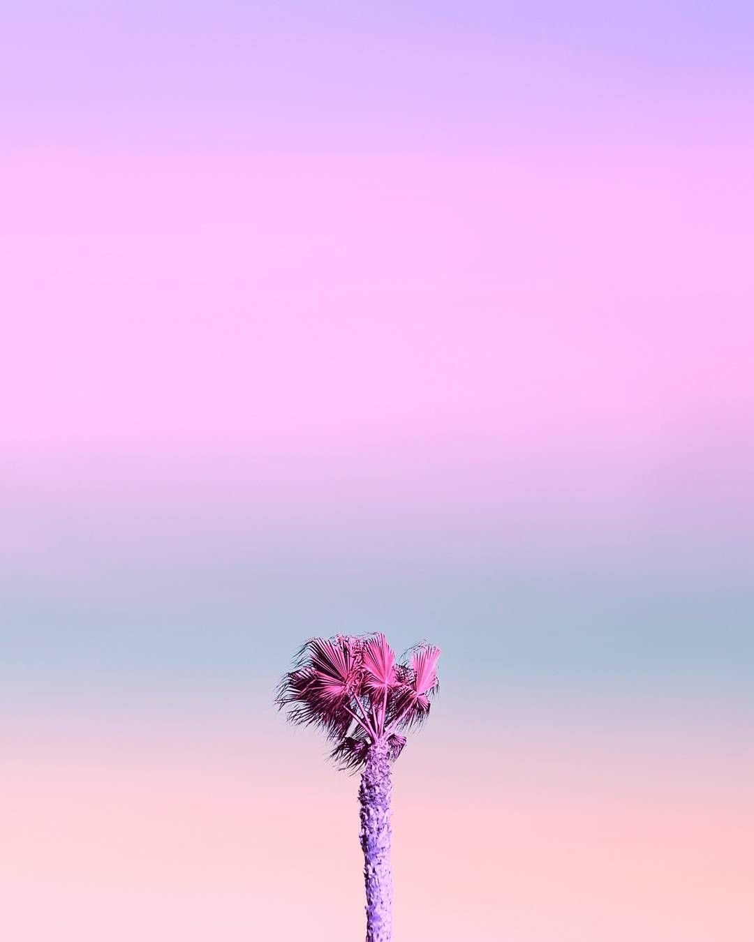 Минимализм Эстетика