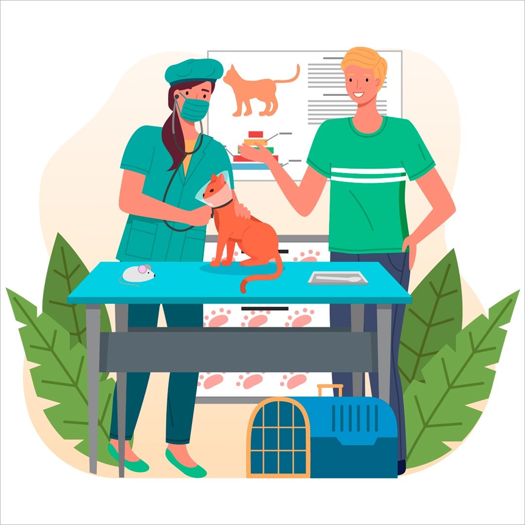 Ветеринар специальность