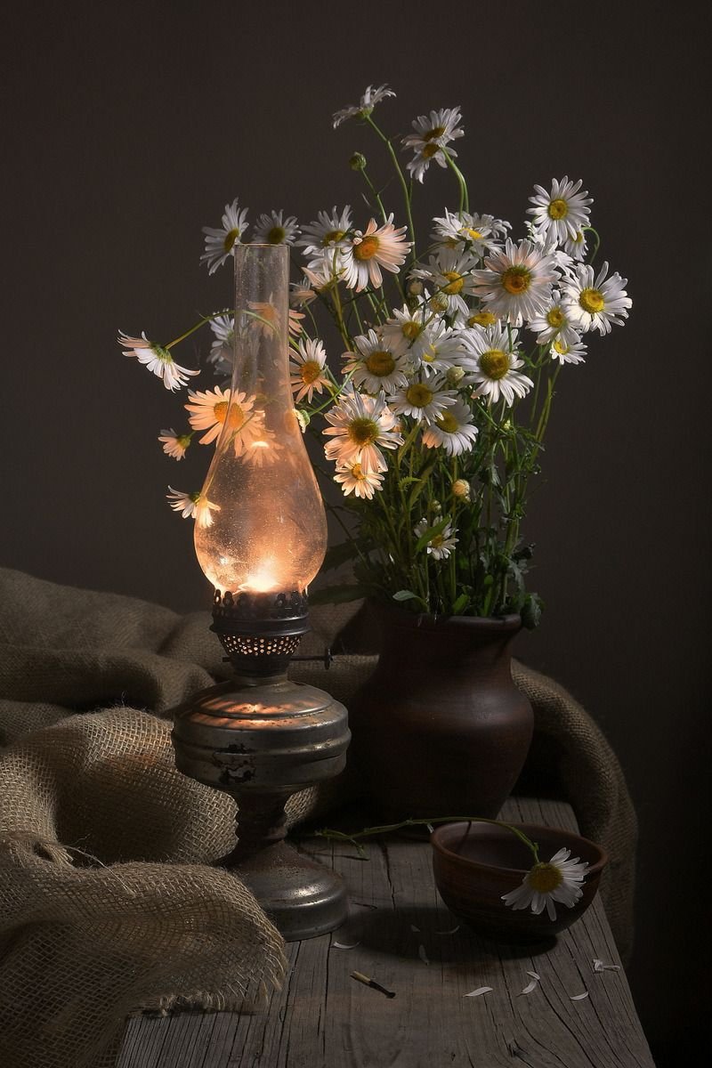 Сергей Алексеев цветы Фотонатюрморты