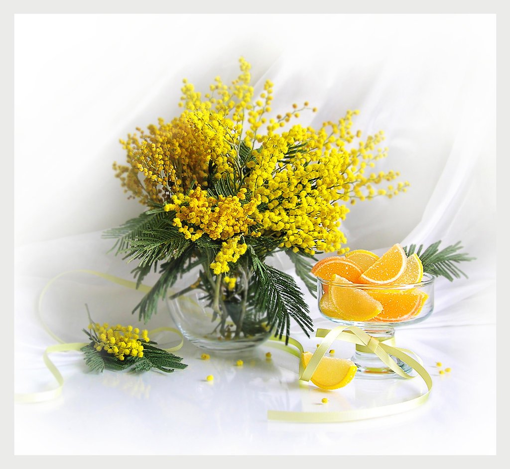 Мимоза на голубом фоне