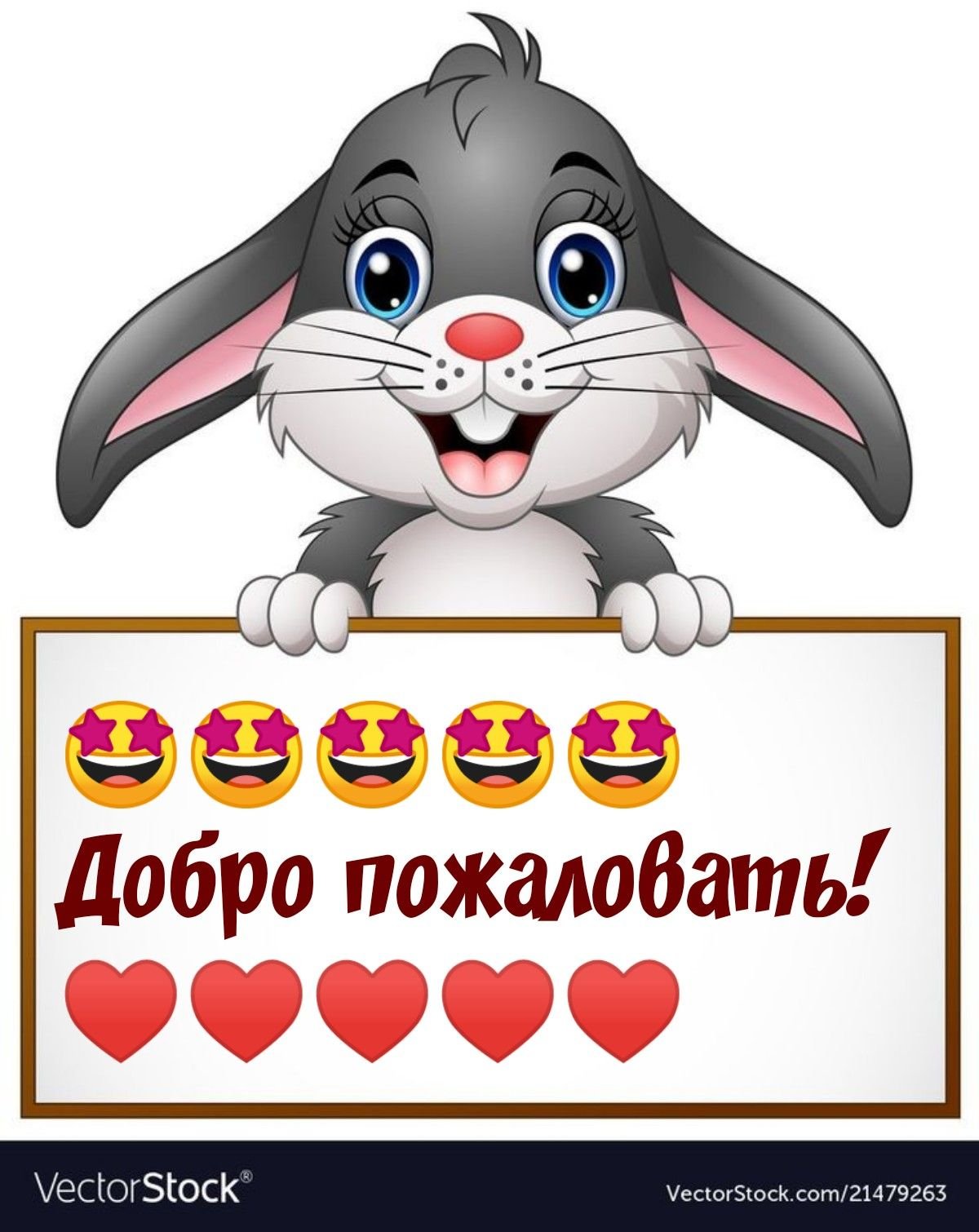 Добро пожаловать!