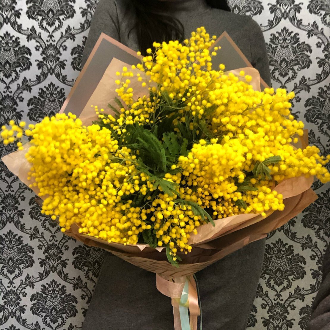 Зимняя Мимоза