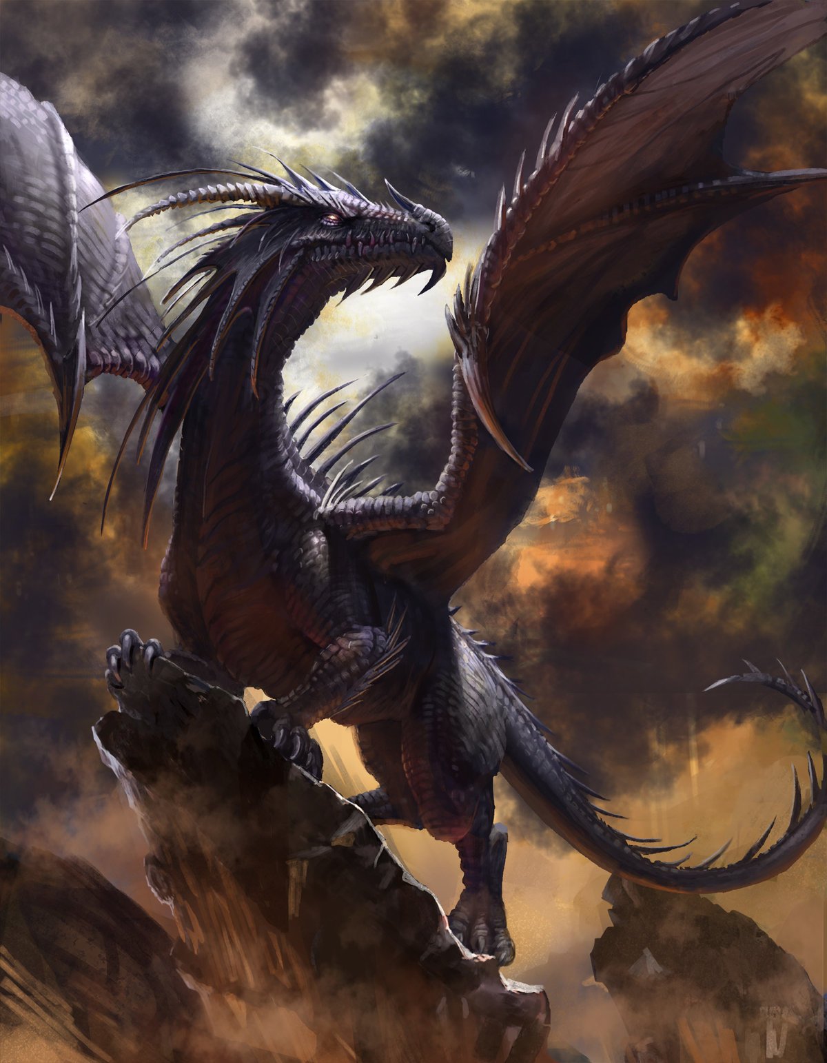 Гебридский чёрный дракон