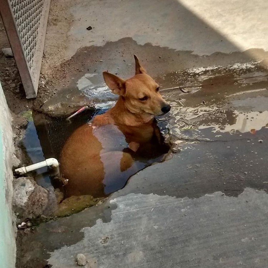 Очень жарко