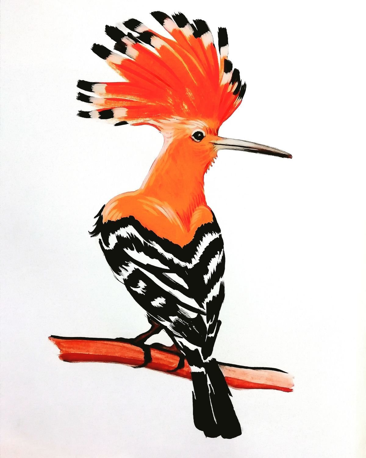 Удод, Удод, птица, Удод, Удод, птица, Удод, птица, Удод.