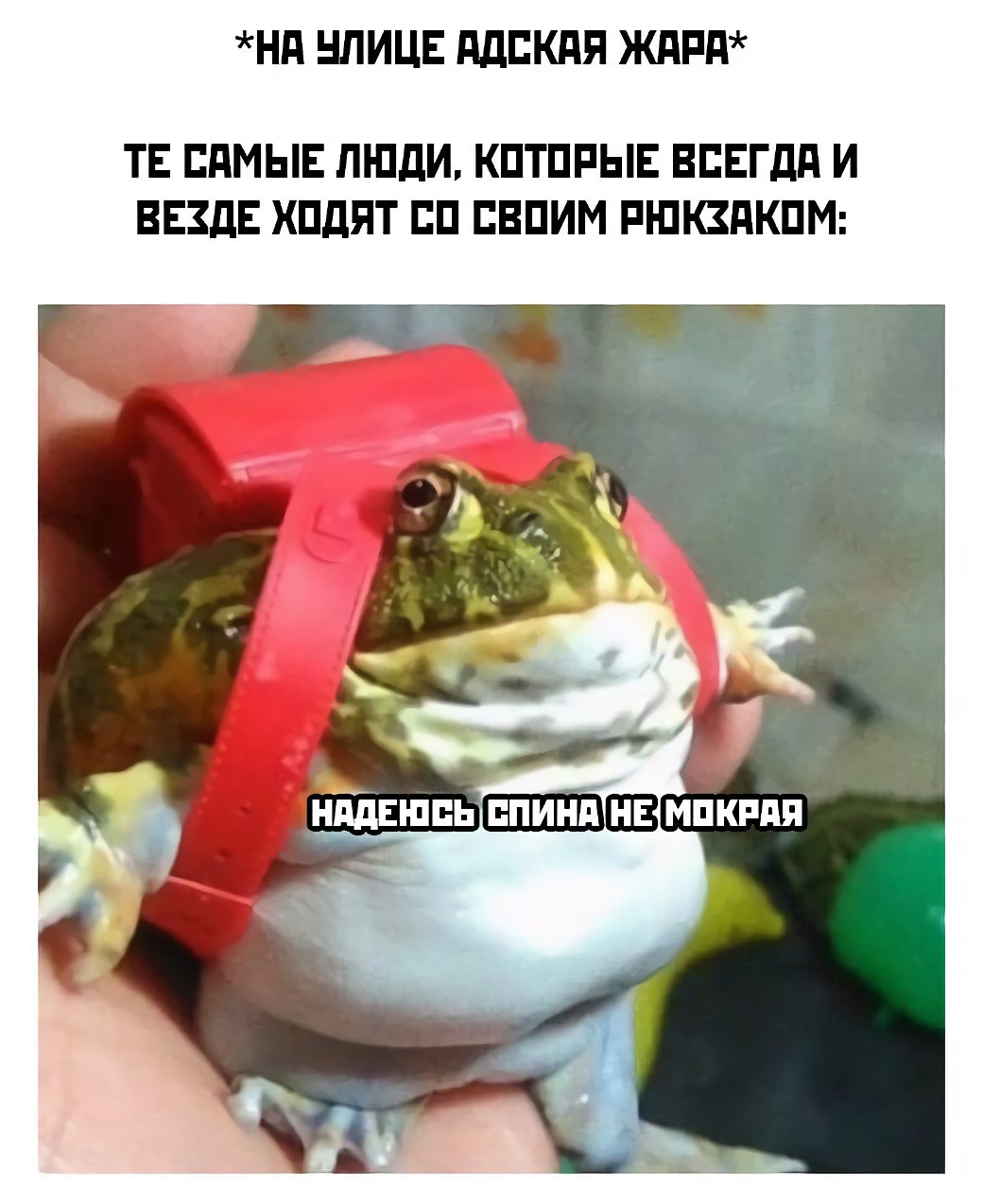 Мемы про жару в Москве