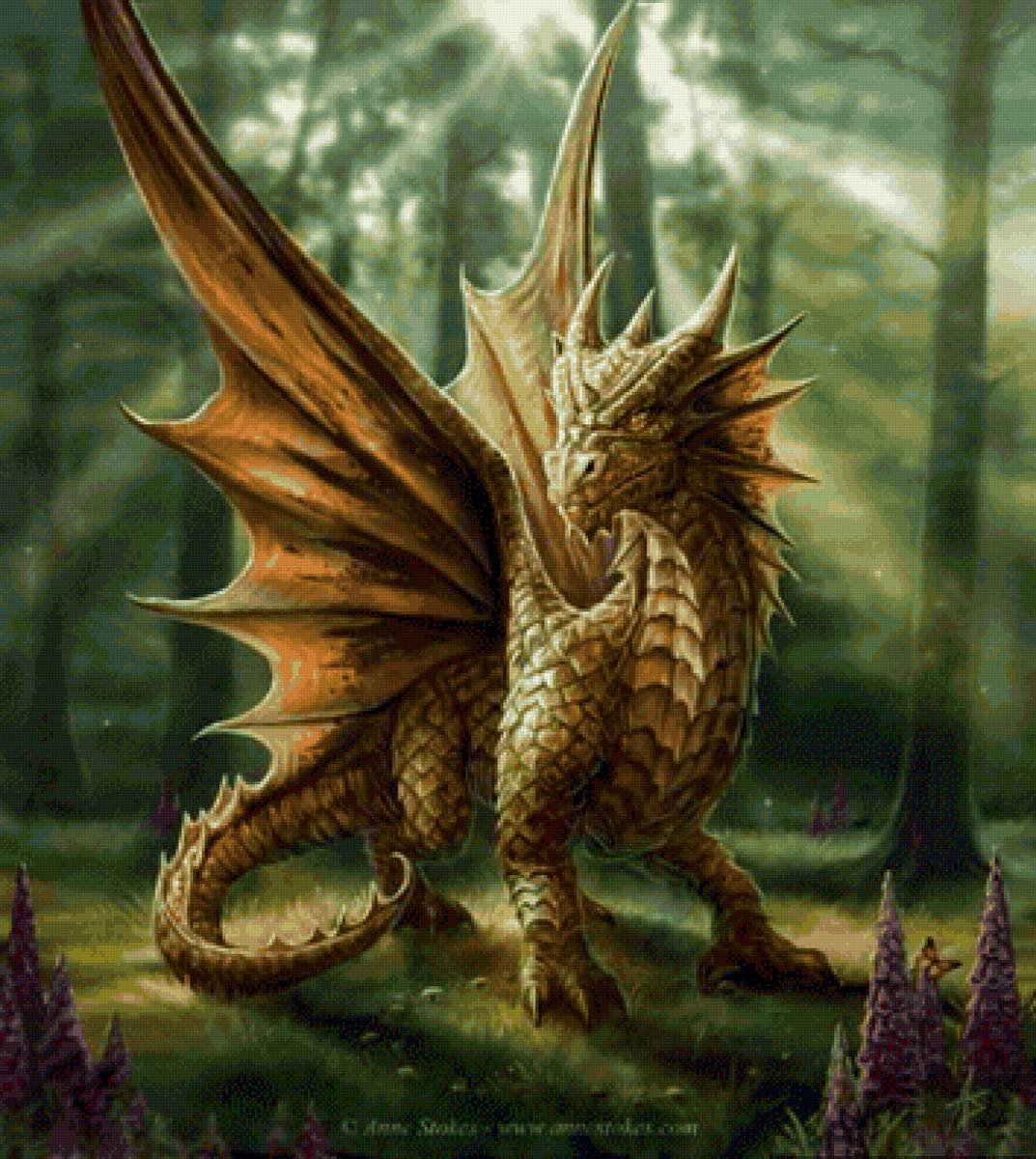 Драго сердце дракона