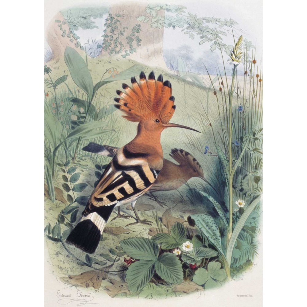 Иван Удод художник картины