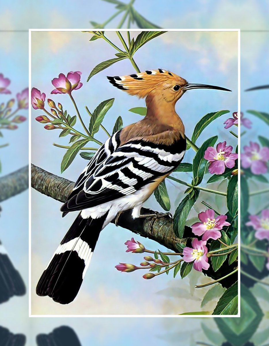 Удод на ветке