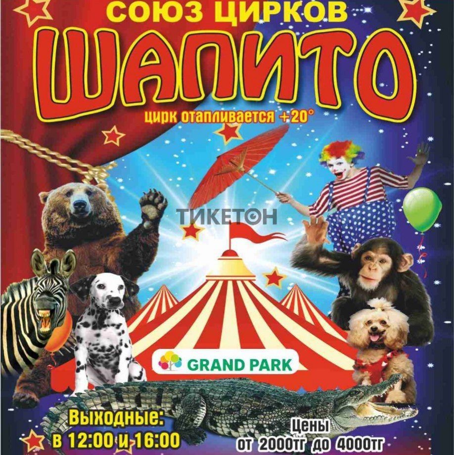 Афиша цирка