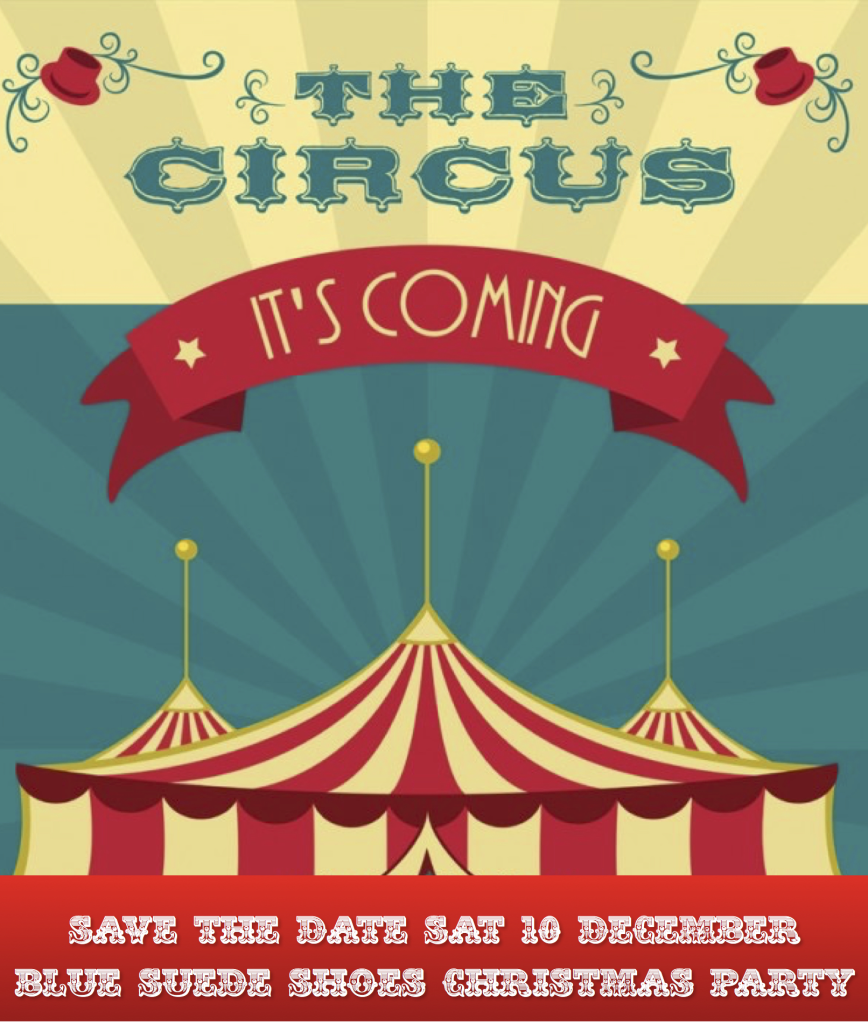 Цирк вектор