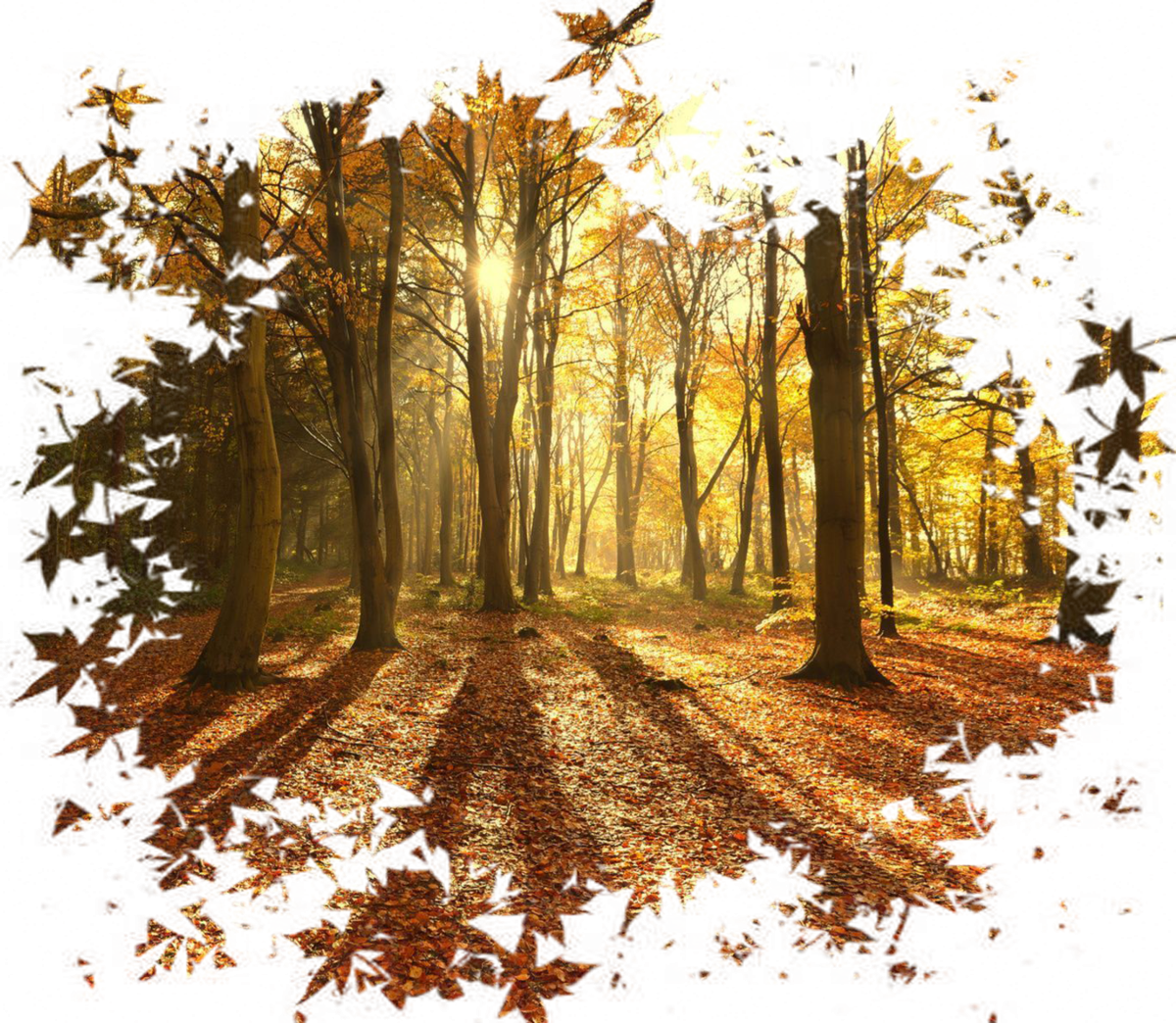 Осень клипарт