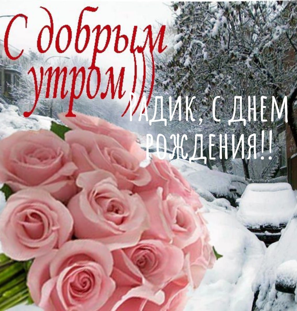 Мимоза на снегу