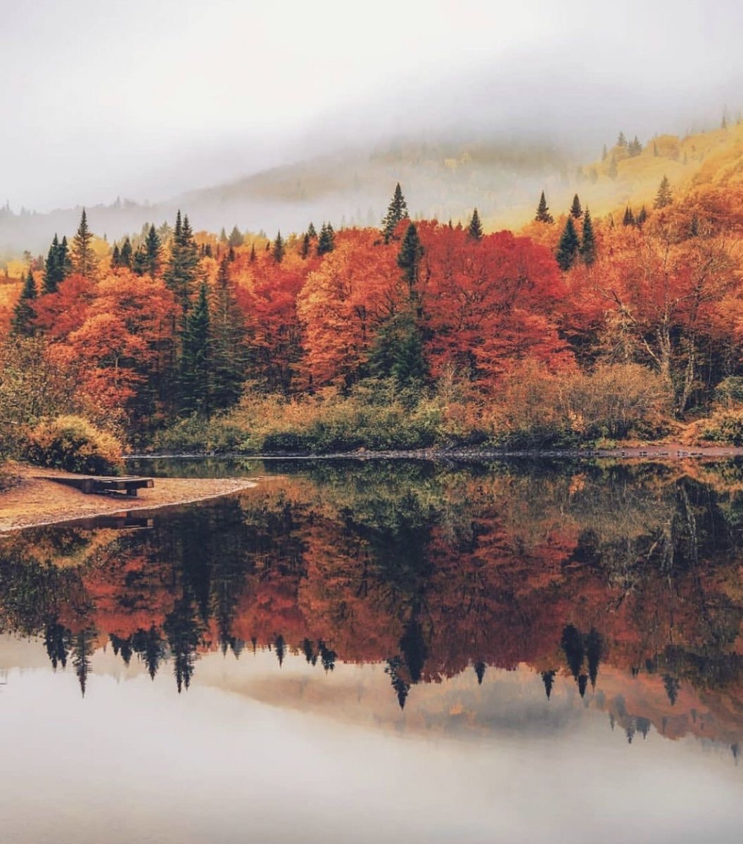 Осень Эстетика