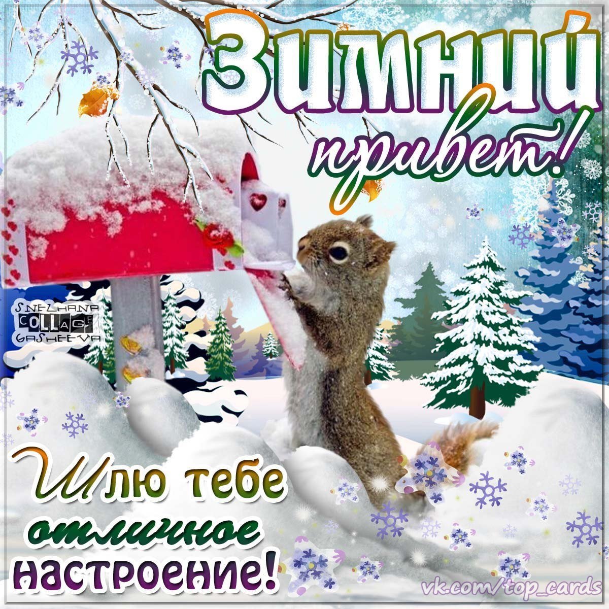 Доброго понедельника заснеженные ели